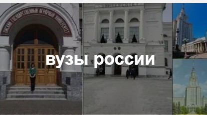 Педагогические направления вошли в число самых популярных в приёмной кампании вузов 2024 года..