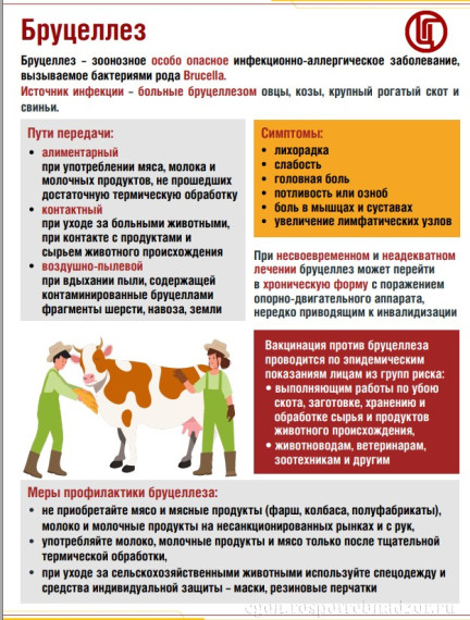 Бруцеллёз..